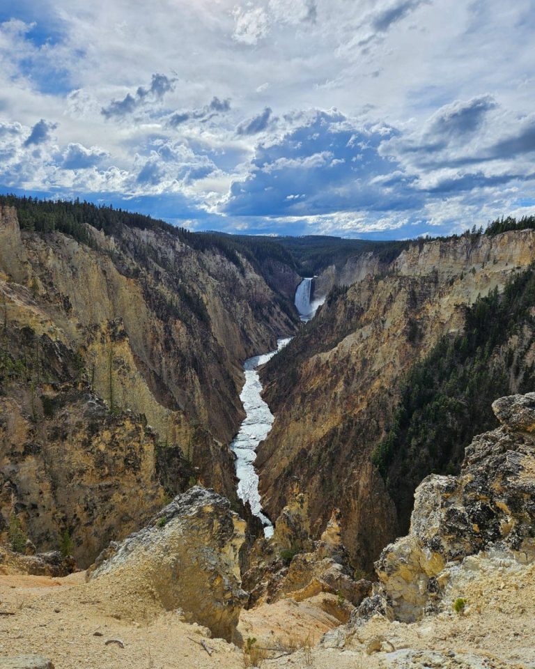 486169122_960623809609190_8620789511838814010_n