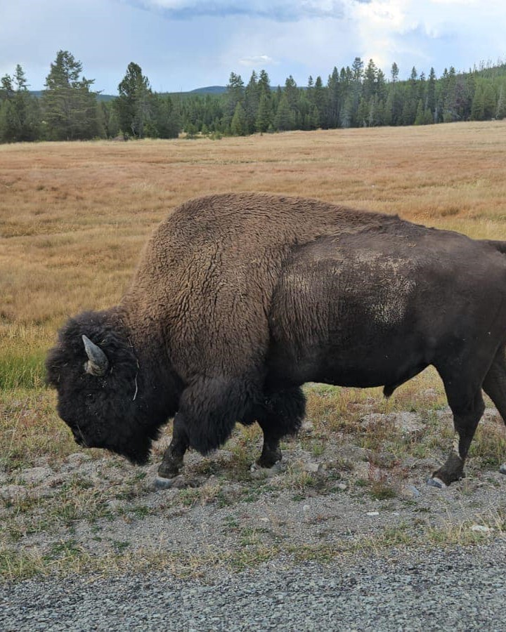 486253715_960623399609231_7106565463688340669_n